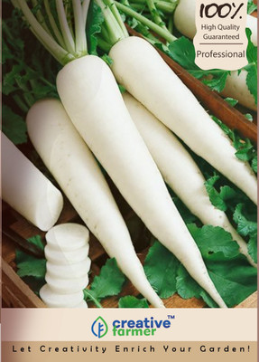 

Creative Farmer Radish Vegetable Seeds Seed(100 per packet)