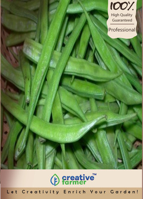 

Creative Farmer Cluster Bean Seeds Seed(20 per packet)