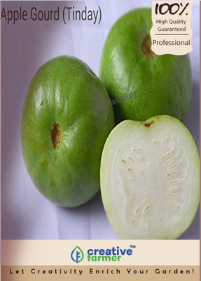 

Creative Farmer Tinda F1 Hybrid Vegetable Seeds Seed(20 per packet)
