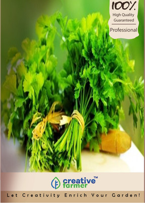 

Creative Farmer Coriander Seed Seed(100 per packet)