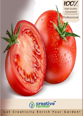 

Creative Farmer Tomato Seed(50 per packet)