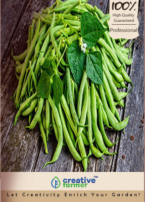 

Creative Farmer Gwaar Fali /Phalli Beans Seeds Seed(40 per packet)