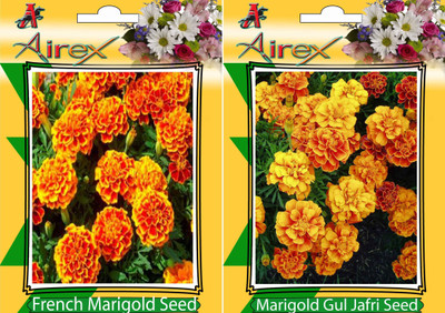 

Airex French Marigold, Marigold Gul Jafri Seed(15 per packet)