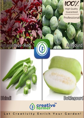 

Creative Farmer Amaranthus- Red,Ashgourd,Bhindi,Bottlegourd Seed(10 per packet)