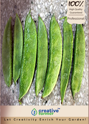 

Creative Farmer Dolichos Beans Seeds Seed(10 per packet)