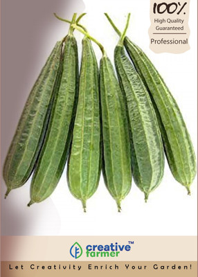 

Creative Farmer Ridge Gourd Seeds Seed(20 per packet)