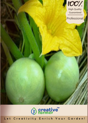

Creative Farmer Tinda Seed(20 per packet)