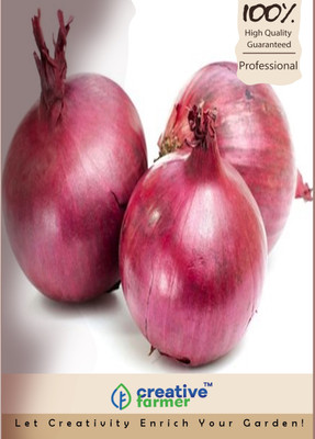 

Creative Farmer Onion Seed Seed(200 per packet)