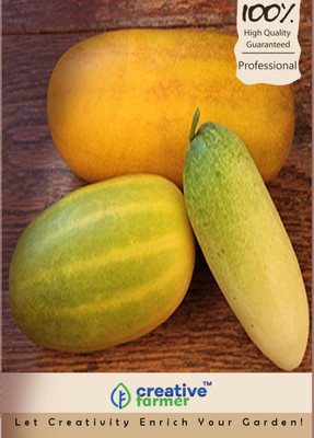 

Creative Farmer Cucumber Hybrid Seeds (Long Yellow) Seed(30 per packet)