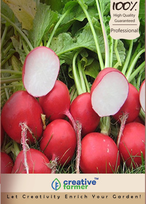 

Creative Farmer Radish Round Red Seeds Seed(200 per packet)