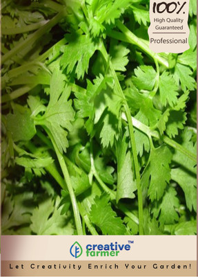 

Creative Farmer Coriandrum Sativum Seeds Seed(100 per packet)