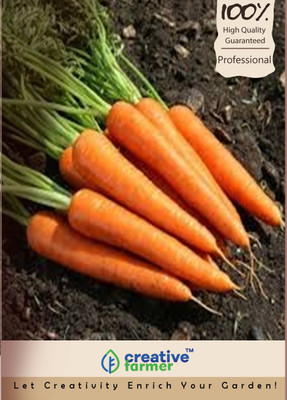 

Creative Farmer Carrot Seed(100 per packet)