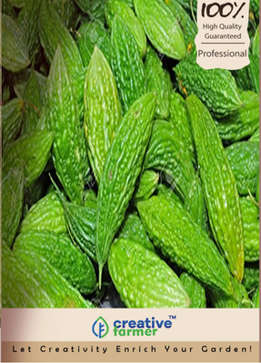 

Creative Farmer Paagarkaai Seeds Seed(30 per packet)