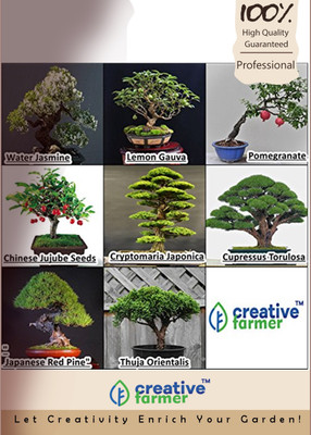 

Creative Farmer Bonsai Combo Seed(10 per packet)