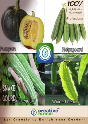 

Creative Farmer Pumpkin,Ridgegourd,Snakegourd,Winged bean Seed(10 per packet)