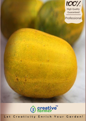 

Creative Farmer Yellow Cuccumber Seeds Seed(10 per packet)