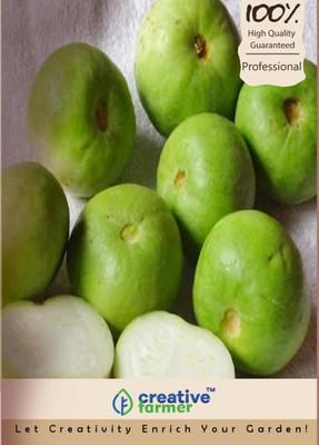 

Creative Farmer Squash Chappan Tinda /Kaddu Seeds Seed(20 per packet)