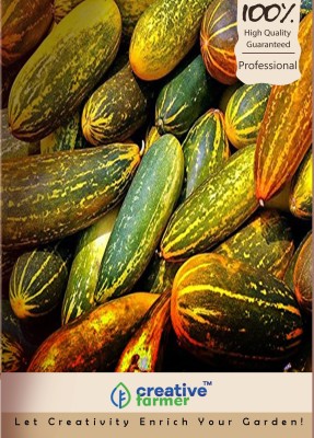 

Creative Farmer Hybrid Cuccumber Seeds Seed(500 per packet)