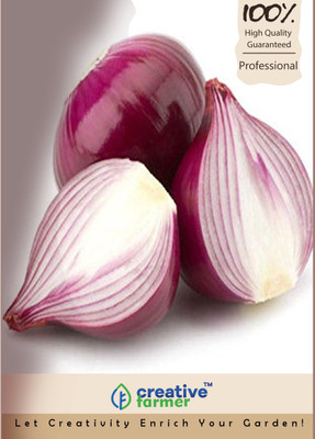 

Creative Farmer Red Burgundy Onion Allium Cepa Seeds Seed(100 per packet)