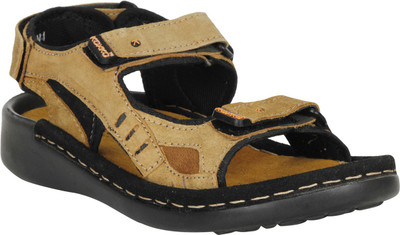 

KOXKO Men Beige Sandals