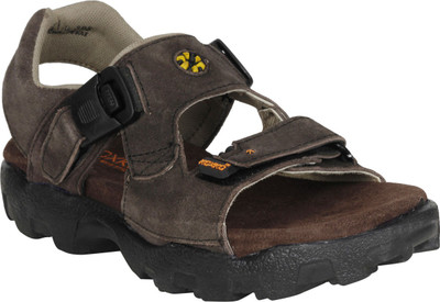 

KOXKO Men Brown Sandals
