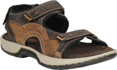 

KOXKO Men Brown Sandals