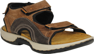 

KOXKO Men Tan Sandals