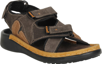 

KOXKO Men Brown Sandals