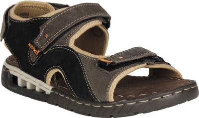 

KOXKO Men Brown Sandals