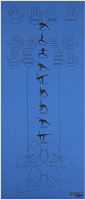 

Aerolite MULTI POSTURE GUIDE 72X24 Blue 6 mm Yoga Mat