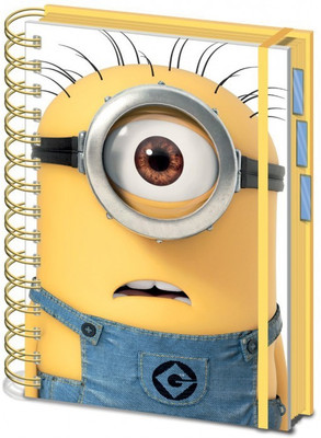 

Pyramid A5 Notebook(Despicable Me A5, Multicolor)