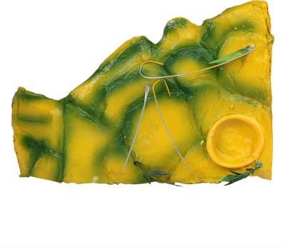 

Jainsons Plastic Fetch Toy For Turtle