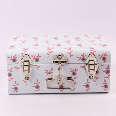 

Tezerac Metal Trunk(Finish and Fabric Color - White)