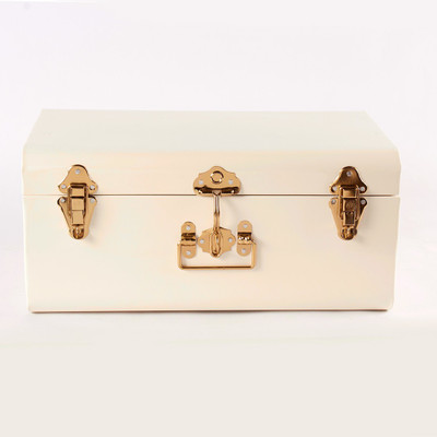 

Tezerac Metal Trunk(Finish and Fabric Color - Cream)