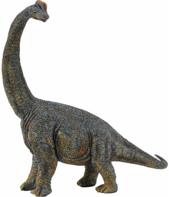 

Hamleys NE CT Brachiosaurus -Deluxe 1:40 Scale(Multicolor)