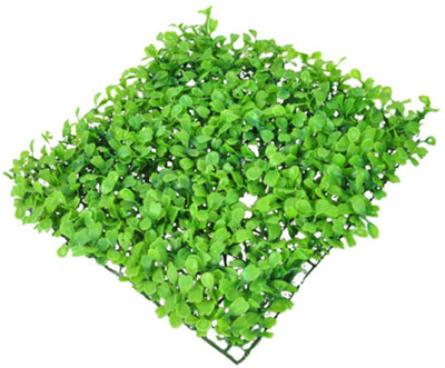

Magideal Sand Planted Substrate(Green)