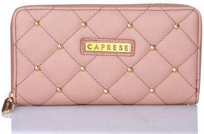 

Caprese Casual Multicolor Clutch