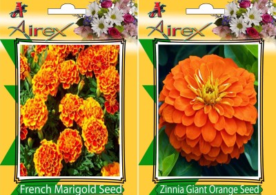 Airex French Marigold, Orange Zinnia Seed(15 per packet)