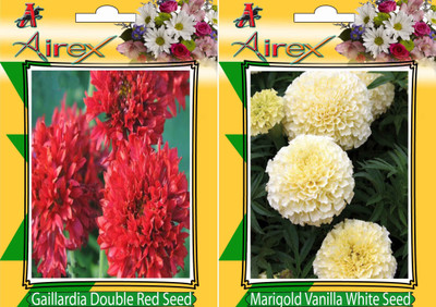 

Airex Gaillardia Double Red, White Marigold Seed(15 per packet)