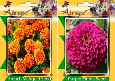 

Airex French Marigold, Purple Zinnia Seed(15 per packet)