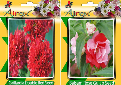 

Airex Gaillardia Double Red, Balsam Rose Gulab Seed(20 per packet)