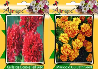 

Airex Gaillardia Double Red, Marigold Gul Jafri Seed(15 per packet)