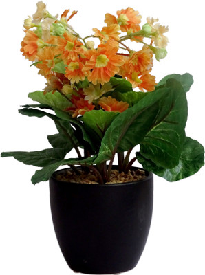 

HOB Orange, Green, Black Assorted Artificial Flower with Pot(7.2 inch, Pack of 01)