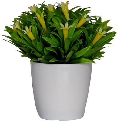 

HOB Yellow, Green, White Assorted Artificial Flower with Pot(6.3 inch, Pack of 01)