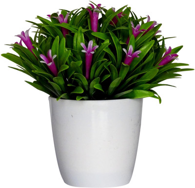

HOB Purple, Grey, White Assorted Artificial Flower with Pot(6.3 inch, Pack of 01)