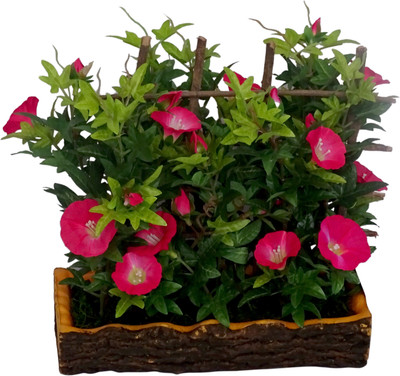 

HOB Pink, Green, Brown Poppy Artificial Flower with Pot(9.1 inch, Pack of 01)