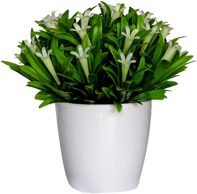 

HOB White, Green Assorted Artificial Flower with Pot(6.3 inch, Pack of 01)