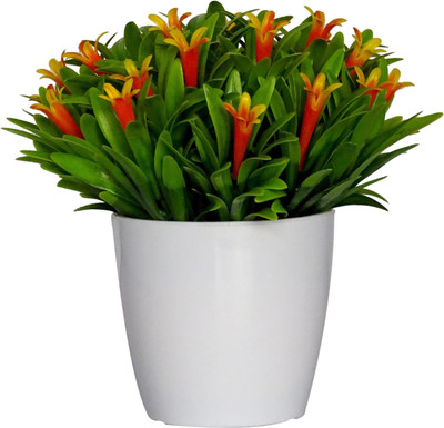 

HOB Multicolor, Green, White Assorted Artificial Flower with Pot(6.3 inch, Pack of 01)
