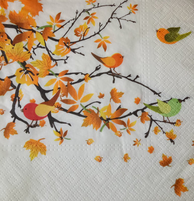 

craftsneed Decorative 3 ply paper napkin for decoupage-Bird Song Multicolor Napkins(2 Sheets)