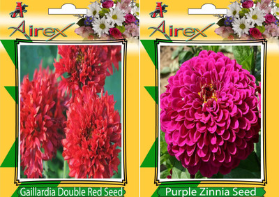 

Airex Gaillardia Double Red, Purple Zinnia Seed(20 per packet)